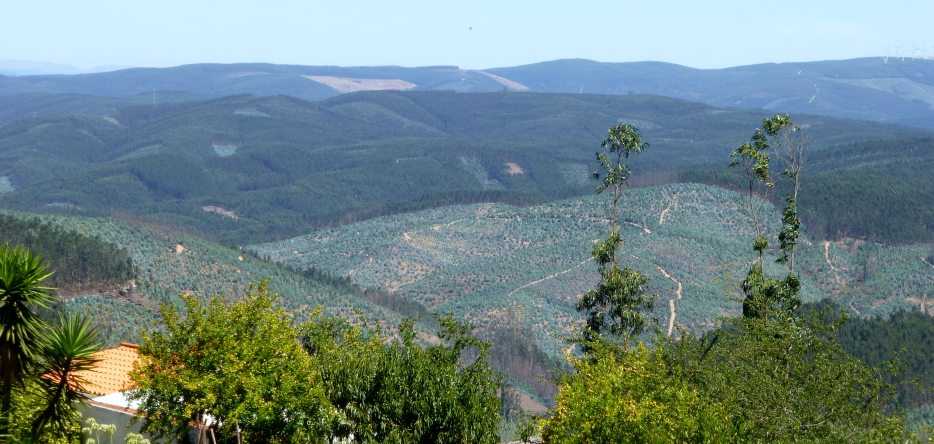 Le champ de bataille à Buçaco